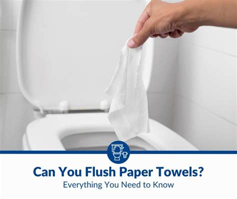 Everything you need to know about how a toilet .